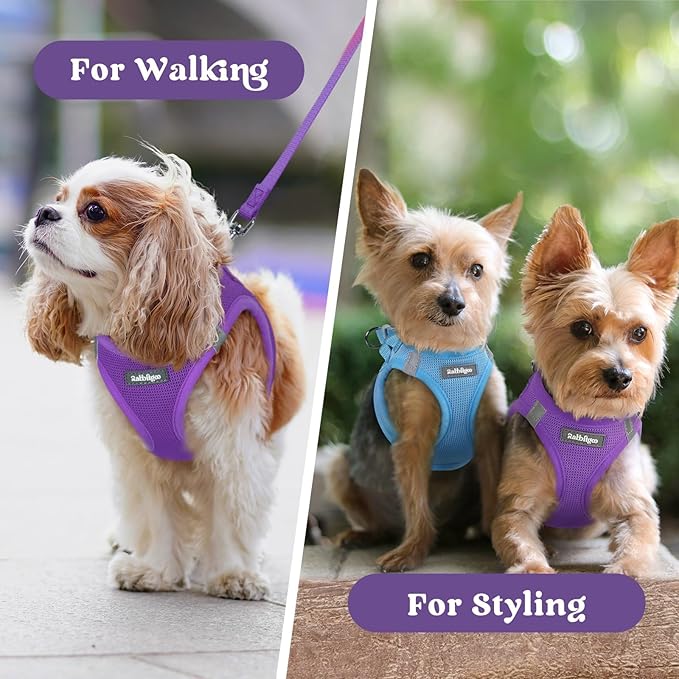 rabbitgoo Small Dog Harness, Step-in Soft Mesh Puppy Vest with Safety Buckle, Breathable Reflective Pet Harness for Extra Small Dogs, Purple XXXS