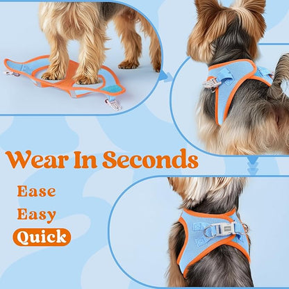 rabbitgoo Small Dog Harness, Step-in Soft Mesh Puppy Vest with Safety Buckle, Breathable Reflective Pet Harness for Small Sized Dogs, Blue & Orange M