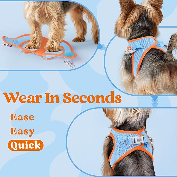 rabbitgoo Small Dog Harness, Step-in Soft Mesh Puppy Vest with Safety Buckle, Breathable Reflective Pet Harness for Large Dogs, Blue & Orange XXL