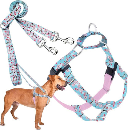 2 Hounds Design - Freedom No-Pull Harness & Training Leash in Pink and Blue | Dual Leash Loops, No Pulling on Walks | Lined to Prevent Chaffing | for Large Sized Dogs (Size L, Chest 28”- 32”)