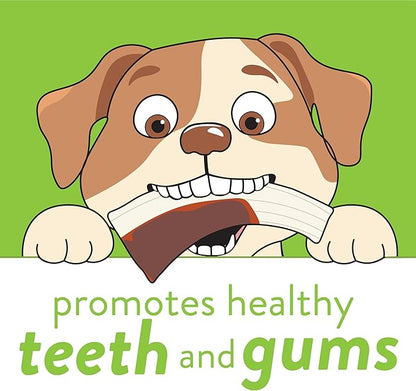 Spunky Pup Snack & Chew Antler Toy | Promotes Healthy Teeth & Gums | Puppy