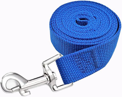 Strong Nylon Dog Leash, 4FT/ 5 FT/ 6FT Dog Leashes for Medium Large Dogs(4 FT, Blue)