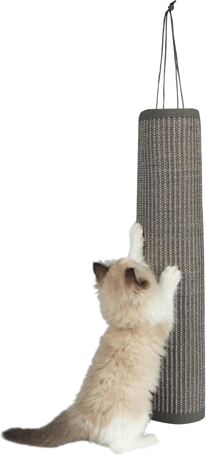 Best Pet Supplies Catify Cat Scratcher, Fun Interactive Scratchers, Posts, Poles, Claw Safe, Furniture Saver Indoor Play Support Natural Cat Behaviors Heavy Duty - Log (Gray), 22 x 17.28