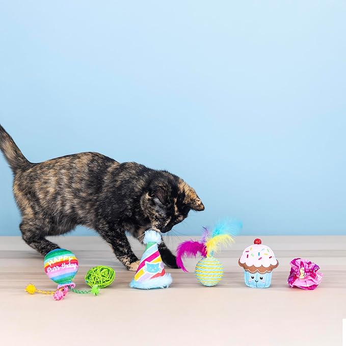 Fringe Studio Happy Purr-THDAY, Set of 6, Multipack Cat Toy Set, Pet Shop Collection (610007)
