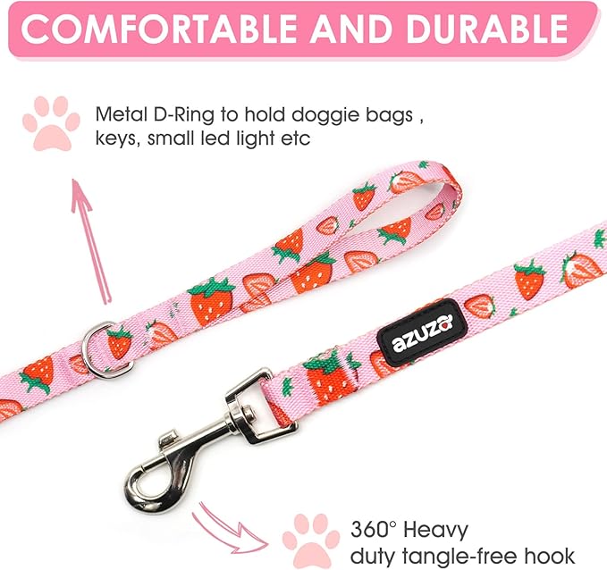 azuza 3 Pack Fruit Design Nylon Dog Leashes Strong & Durable Basic Dog Leash with Easy to Use Collar Hook for Medium Dogs, M (5FT,3/4")