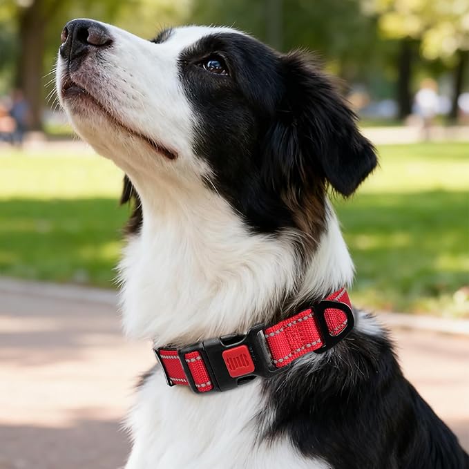 Taglory Reflective Dog Collar with Safety Locking Buckle, Soft Neoprene Padded Dog Collar for Medium Dogs, Metal D-Ring, Adjustable Nylon Neck Strap for Daily Walking, Training & Running, Red, M