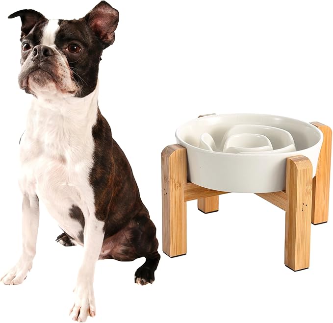 Elevated Slow Feeder Dog Bowl - Ceramic Maze Food Dish with Bamboo Stand - Raised Feeding Bowl for Fast Eaters - Ideal for Small and Medium Dogs - Milky White - 6.7 inch