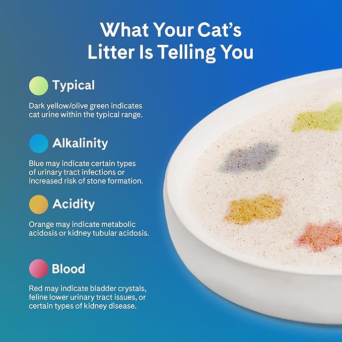 PrettyLitter Health Monitoring Cat Litter (Calm Aloe, Non Clumping) | Lightweight & Low Tracking, Color Changing Silica Gel Crystals, Advanced Odor Control — 6 Lbs, Pack of 2 (Up to 2 Month Supply)