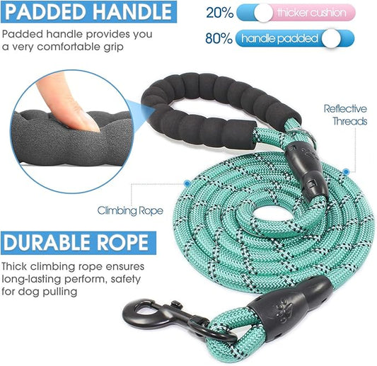 BAAPET 2/4/5/6 FT Dog Leash with Comfortable Padded Handle and Highly Reflective Threads for Small Medium and Large Dogs (6FT-1/2'', Turquoise)