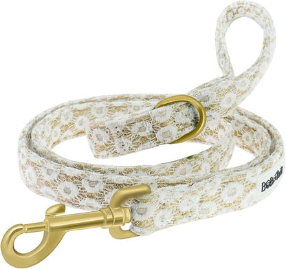 5 FT Stylish Dog Leash, Soft Dog Leashes with Comfortable Padded Handle, Metal Carabiner Clip, Strong No Pull Pet Leash for Small Medium Dogs for Walking, Shopping and Running
