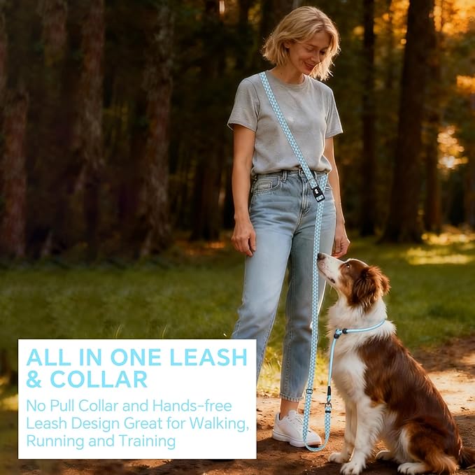 QQPETS Adjustable Slip Lead Dog Leash, Hands Free Waist Leash for Dog Walking, Reflective Training Lead with 360° Swivel Anti-Tangle, 4-7 ft Length for All Breeds
