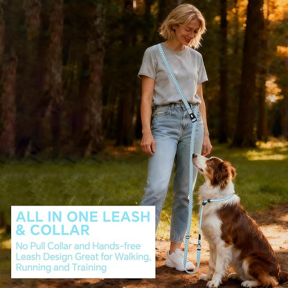 QQPETS Adjustable Slip Lead Dog Leash, Hands Free Waist Leash for Dog Walking, Reflective Training Lead with 360° Swivel Anti-Tangle, 4-7 ft Length for All Breeds