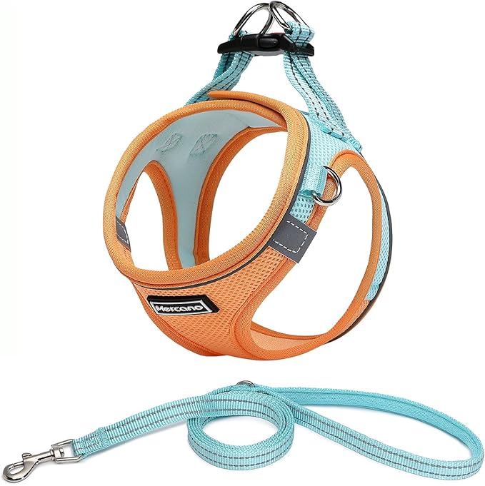Mercano Soft Mesh Dog Harness and Leash Set, No-Chock Step-in Reflective Breathable Lightweight Easy Walk Vest Harnesses with Safety Buckle for Small Dogs, Cats (XL, Orange Blue)