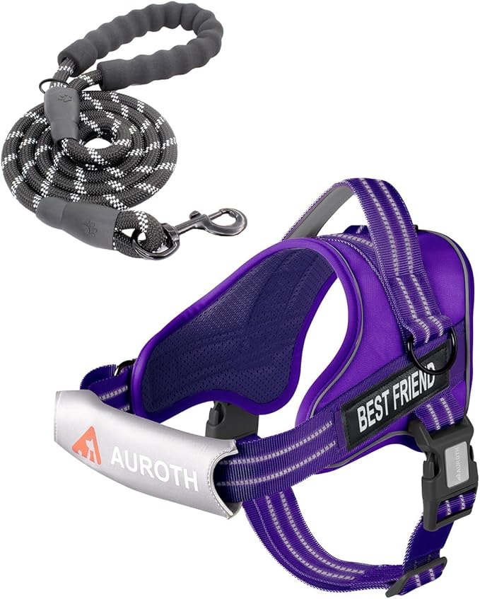 AUROTH Dog Harness and Leash Set, Soft Padded Service Dog Vest with 5.25FT Dog Leash, No Choke, Easy On Pet Vest, Adjustable Reflective No Pull Dog Harness for Large Dogs, Easy Walking and Training