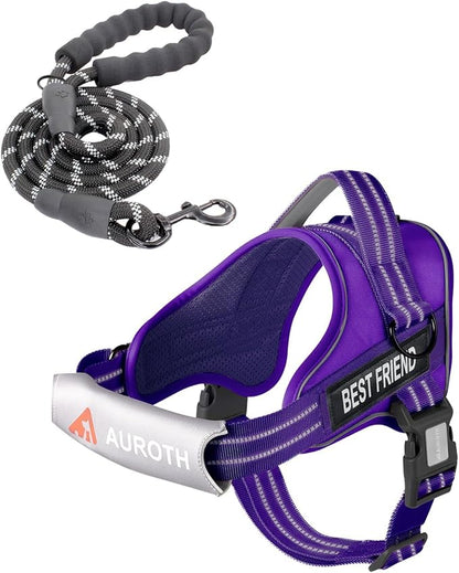 AUROTH Dog Harness and Leash Set, Soft Padded Service Dog Vest with 5.25FT Dog Leash, No Choke, Easy On Pet Vest, Adjustable Reflective No Pull Dog Harness for Large Dogs, Easy Walking and Training