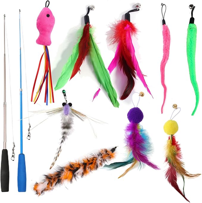11PCS Interactive Cat Toys for Indoor, 2 Retractable Wand Toy and Feather Toys Refills to Chase and Exercise
