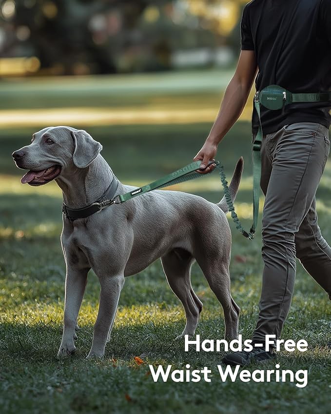 MIDOG Multifunctional Dog Leash Hands Free for Large Dogs - Adjustable Waist Leash with Zipper Pounch& Bungee Cord for Jogging/Running/Walking(4-7FT,Green)