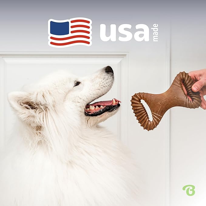 Benebone Dental Durable Dog Chew Toy for Aggressive Chewers, Real Peanut, Made in USA, Large