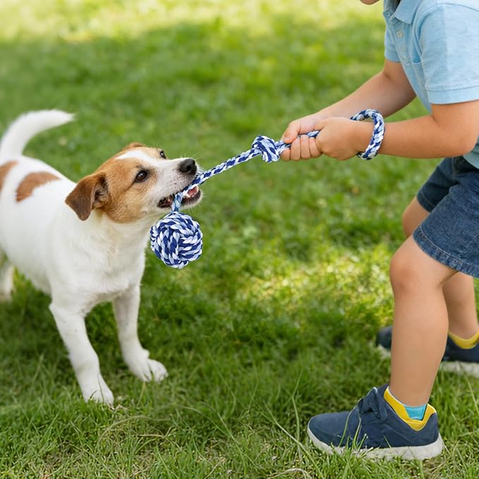Depets Dog Rope Toys for Small Dogs, 4-Pack Durable Puppy Rope Chew Toys for Teething, Puppy Tug of War Interactive Toy, Washable Knot Dog Toy for Dental Care & Anxiety Relief