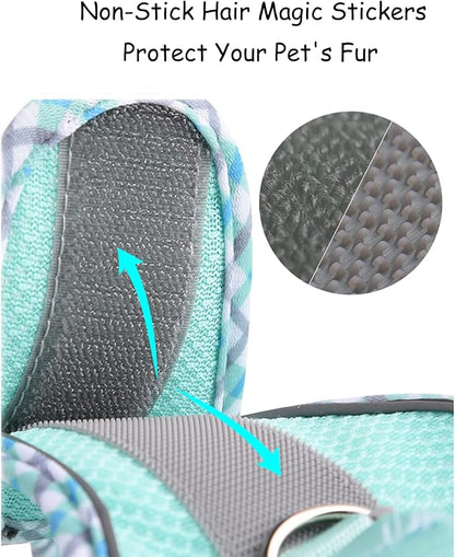 Petank Dog Harness for Small Medium Dogs No Pull, Puppy Harness and Leash Set, Step in Dog Harness for Walking, Running, Training, Small Dog Vest(Bule, S)