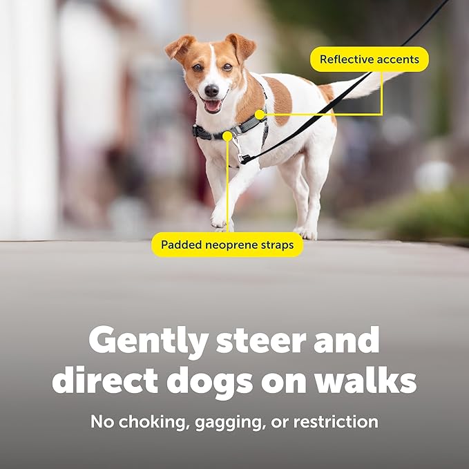 PetSafe Deluxe Easy Walk Harness - Trainer-Trusted Dog Chest Harness with Breathable Martingale Loop Design - Helps Stop Pulling with No Choking & Gagging - Small - Rose