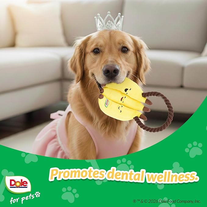 Dole for Pets® Dog Rope Toy with Squeakers, Banana Tug of War Dog Toy, Tough Cotton Rope Toys for Dogs, Aggressive Chew Toys for Medium Dogs