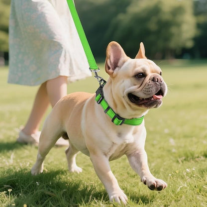 Joytale Reflective Dog Collar, Soft Neoprene Padded, Metal D-Ring, Nylon Pet Collar Adjustable for Medium Dogs, Green, M