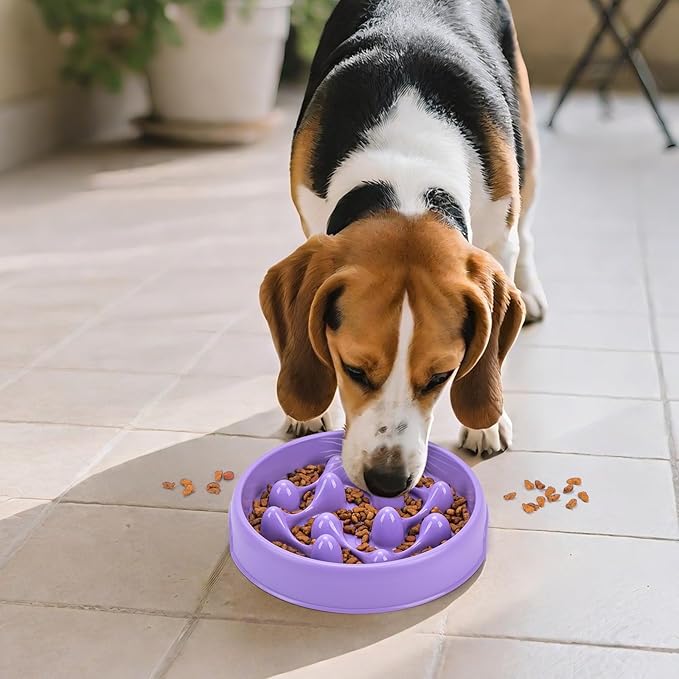 Slow Feeder Dog Bowls, Maze Dog Bowl Slow Feeder for Healthy Eating, Non-Slip Dog Food Bowl, Food-Grade Puppy Bowl, Slow Feeder Cat Bowl & Cat Food Bowl, Puzzle Dog Bowls for Small & Medium Pets
