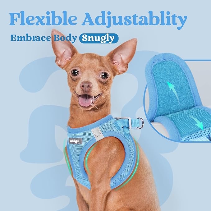 rabbitgoo Small Dog Harness, Step-in Soft Mesh Puppy Vest with Safety Buckle, Breathable Reflective Pet Harness for Extra Small Dogs, Blue XXS