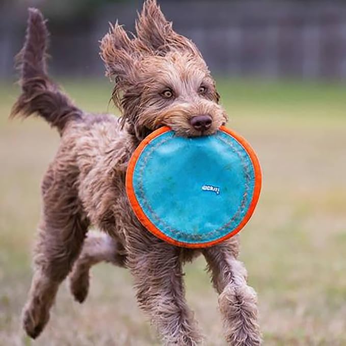 Chuckit! Paraflight Flying Disc Dog Toy - Water Floating Flyer - Durable Nylon Construction with Soft Rubber Edges - for Medium and Large Dogs - Size Large - 9.75" L x 9.75" W -,1 Count (Pack of 4)