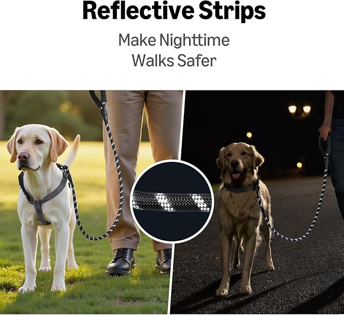 Amazon Basics Round Dog Leash, Heavy Duty, Durable Rope for Small, Medium, and Large Dogs, Lightweight Design for Walking, Training, and Outdoor Activities, Black, 4 Ft