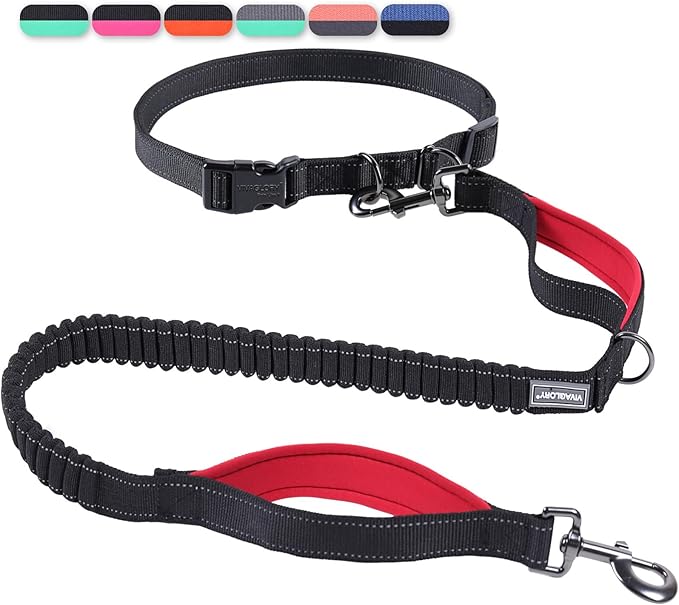 VIVAGLORY Hands Free Dog Leash Bungeeone Running Dog Leash with Waist Belt for Running Walking & Jogging, Bungee & Around Waist for Pet, S, Black/Red