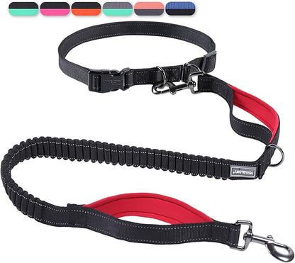 VIVAGLORY Hands Free Dog Leash Bungeeone Running Dog Leash with Waist Belt for Running Walking & Jogging, Bungee & Around Waist for Pet, S, Black/Red