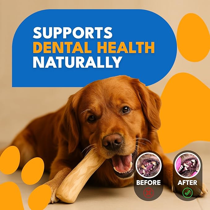 Set 3 of Coffee Wood Dog Chew Toy – Coffee Chew Stick for Large Dogs - Teeth Cleaning & Stress Relief – Safe, Durable & Eco-Friendly Dog Chew Toy (Large - Over 55 lbs)