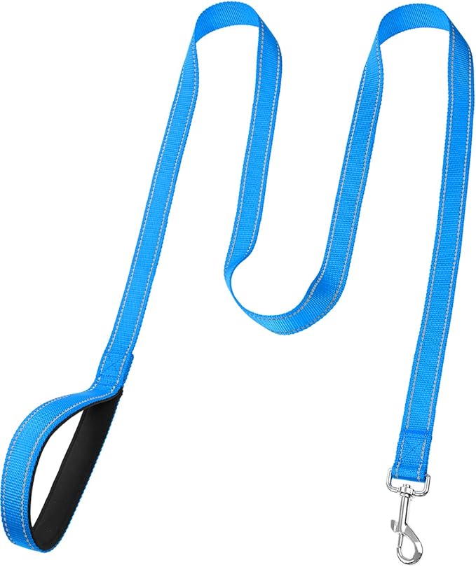 FunTags 6FT Reflective Dog Leash with Soft Padded Handle for Training,Walking Lead for Large & Medium Dog,1 Inch Wide,SkyBlue