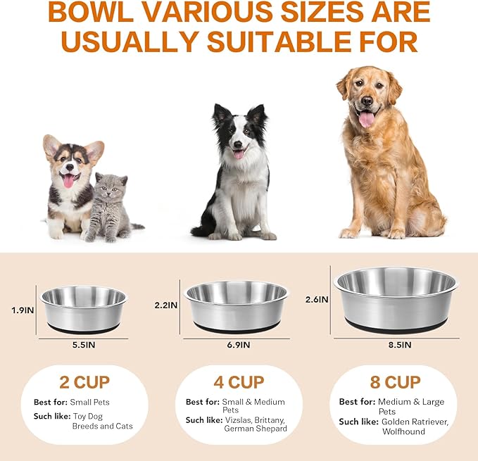 Stainless Steel Dog Bowls Set of 2, Extra Thick Metal Bowls, with Non-Slip Rubber Base Dog Bowl, BPA Free, Holds 2 Cups(16 fl oz), for Small Dogs, Black