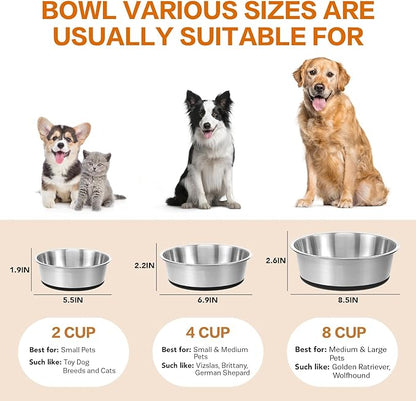 Stainless Steel Dog Bowls Set of 2, Extra Thick Metal Bowls, with Non-Slip Rubber Base Dog Bowl, BPA Free, Holds 2 Cups(16 fl oz), for Small Dogs, Black