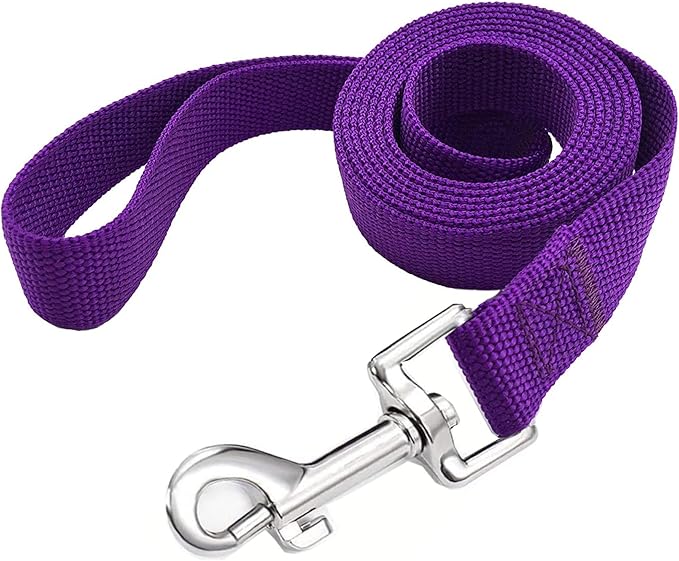 TAIAN 4FT/5FT/6FT Strong Dog Leash, Nylon Dog Leashes for Small Medium Large Dogs (3/4 in x 5 ft, Purple)