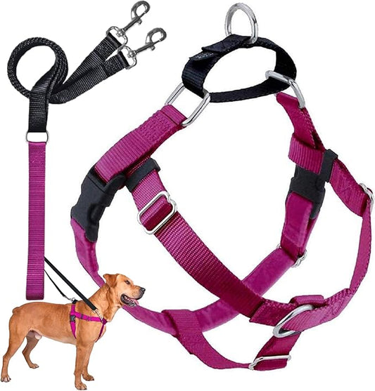 2 Hounds Design Freedom No Pull Dog Harness, Adjustable Harness and Leash Set, Easy Walking & Comfortable Control, Fits Small, Medium & Large Dogs, Solid Colors, Made in USA, 1" XL, Raspberry