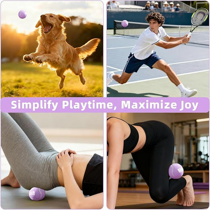 2.5" Dog Tennis Balls 6-Pack Silent Bounce, Tough Rubber Core, Durable Fetch & Training Toys for Indoor/Outdoor Play, for Small Medium Large Dogs (Light Purple, 6 Pack)