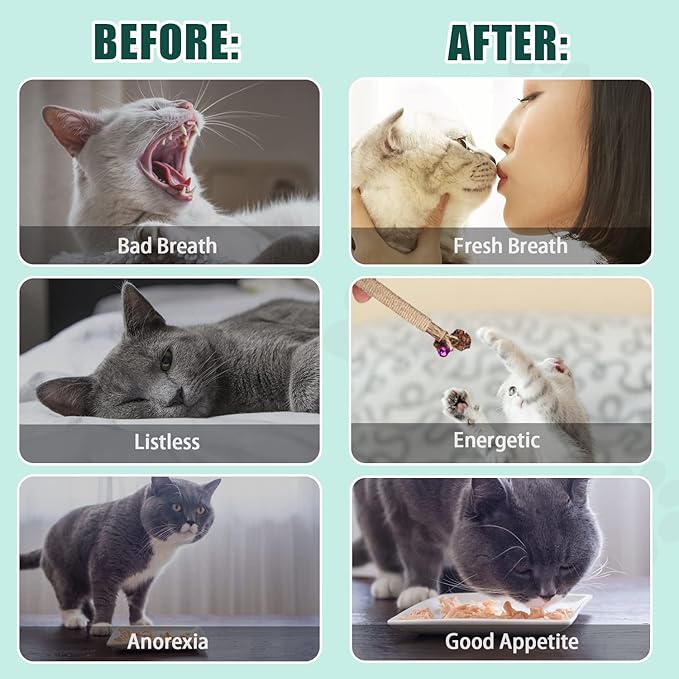 4pcs Kitten Chew Toys Teething, 2 Types Catnip Chew Toys for Cats Natural Silvervine Blend Sticks for Dental Care Treat with Raffia Feather Cat Teeth Cleaning Toy Indoor