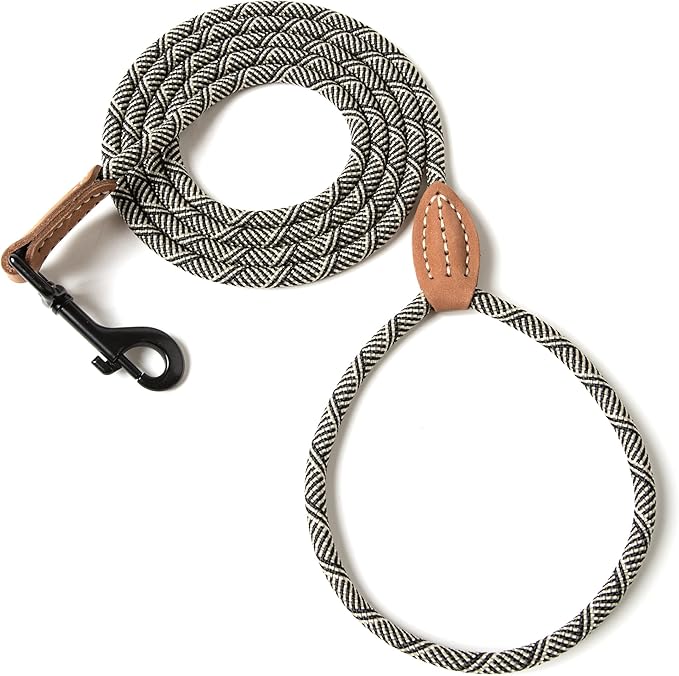 Mile High Life Small Dog Leash, Thin Rope Leash with Genuine Leather Connection and Heavy Duty Metal Clasp, Great for Small Medium Dogs(White,72 Inch-1/3)