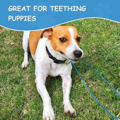 Heavy-Duty - Heavy-Duty Metal Cable Lead（1/4inch）,No Tangle Multiple Dog Leashes for Medium and Large Dogs- Heavy Duty Leash Extender for Collars & Harnesses (Transparent,20in/50cm)