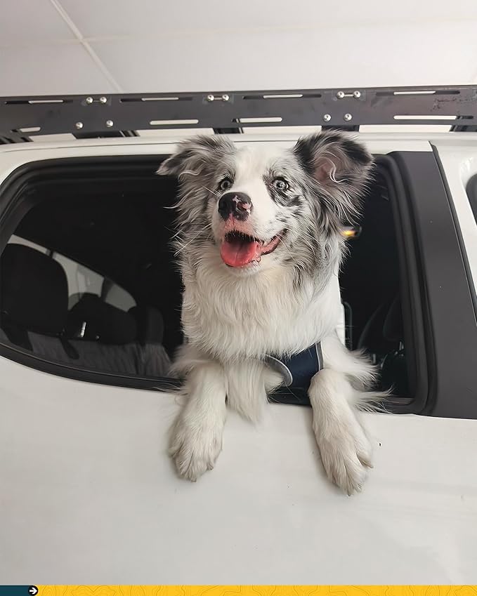 Trumgeta Medium Back Seat Extender for Dogs, Hard Bottom Platform for Cars, SUVs & Mid-Size Trucks, Waterproof – Rigid Back Seat Cover for Dogs