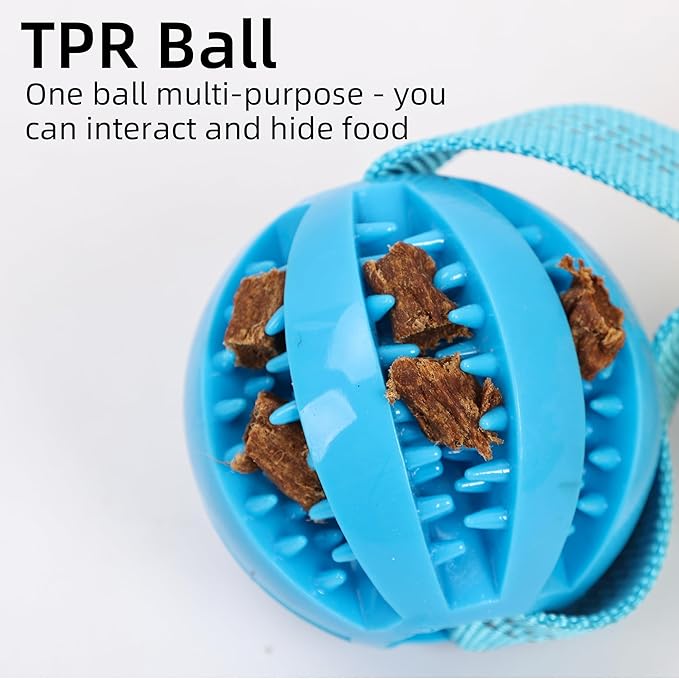 ETIAL Interactive Dog Tug of War Toy, Puppy Training Pull Toy with Bungee Rope for Exercise & Interactive Play Games, Dog Rope Toy for Small Medium Large Dogs Chase and Tug (Blue)