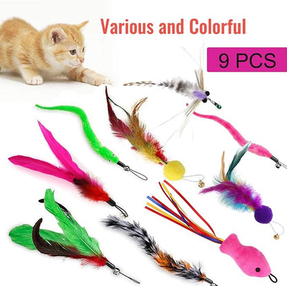 11PCS Interactive Cat Toys for Indoor, 2 Retractable Wand Toy and Feather Toys Refills to Chase and Exercise