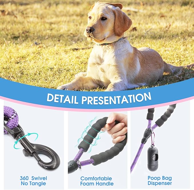 BAAPET 2/4/5/6 FT Dog Leash with Comfortable Padded Handle and Highly Reflective Threads for Small Medium and Large Dogs (6FT-1/2'', Purple)