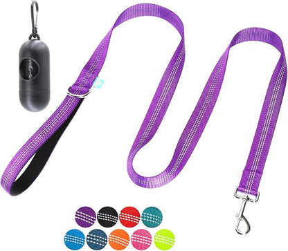 BAAPET 5 Feet Nylon Dog Leash with Triple Reflective Threads and Comfortable Padded Handle for Walking, Training Lead Small Puppy, Medium and Large Dogs (1.0'' x 5 FT, Purple)