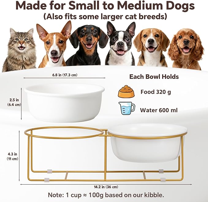 Elevated Dog Bowls for Food and Water - Double Ceramic Bowls with Metal Stand - Raised Feeding Station for Small and Medium Dogs - Each Holds 600ml / 3.2 Cups (Approx. 320g) - White