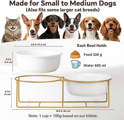 Elevated Dog Bowls for Food and Water - Double Ceramic Bowls with Metal Stand - Raised Feeding Station for Small and Medium Dogs - Each Holds 600ml / 3.2 Cups (Approx. 320g) - White